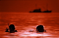   diving sunset  